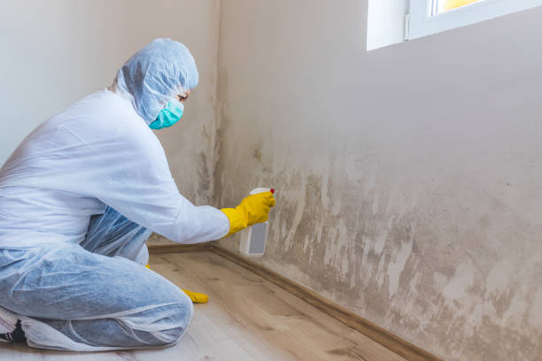 Licensed Mold Inspection And Testing service in Manchester, WA - Mold Remediation HQ